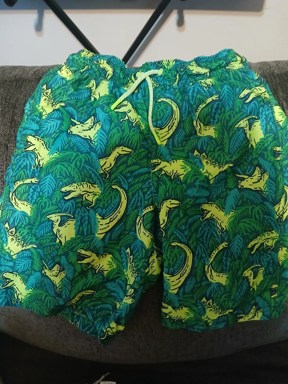 Cat & Jack Green and Yellow Dinosaur Print Hybrid Shorts